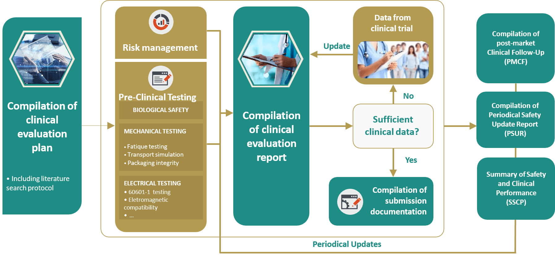 Clinical Safety knoell